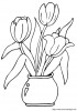 Aller  coloriage-fleur-tulipes_jpg.jpg